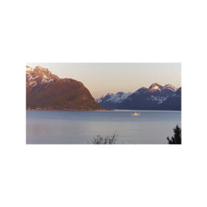 Kamera IP Reolink P320 5MP POE biała