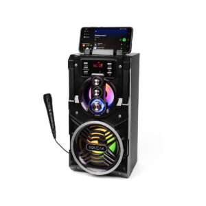 Głośnik BeatBoxer Squeak SQ1000 BT, Radio FM, MP3