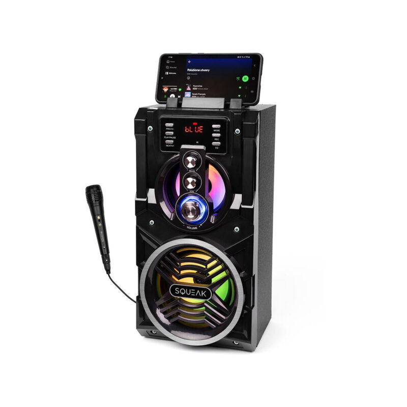 Głośnik BeatBoxer Squeak SQ1000 BT, Radio FM, MP3