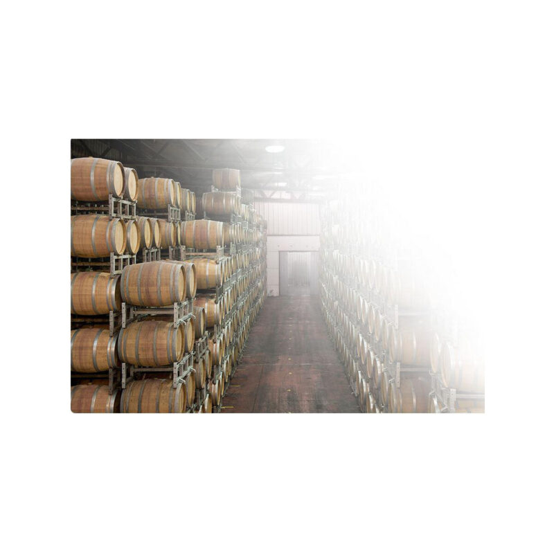 SATEL UNIWERSALNY MODUŁ MONITORUJĄCY ETHM-A