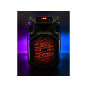 Głośnik mobilny SQUEAK SQ1006 30W Radio FM Czarny