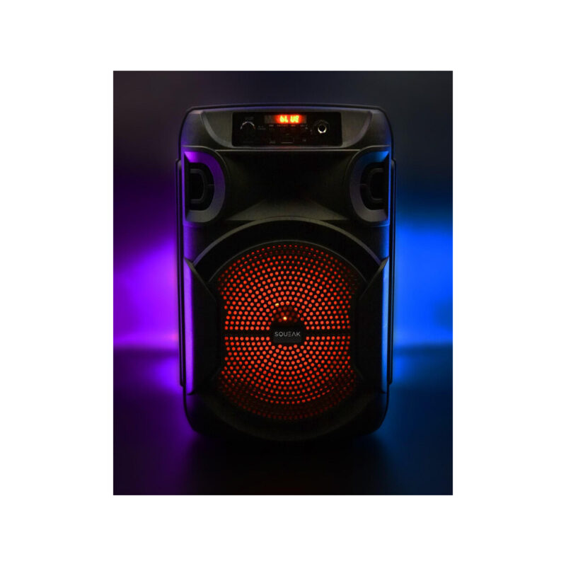 Głośnik mobilny SQUEAK SQ1006 30W Radio FM Czarny