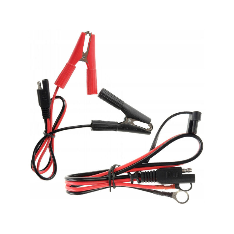 PROSTOWNIK AUTOMATYCZNY VOLT POLSKA 10A 12/24V LCD