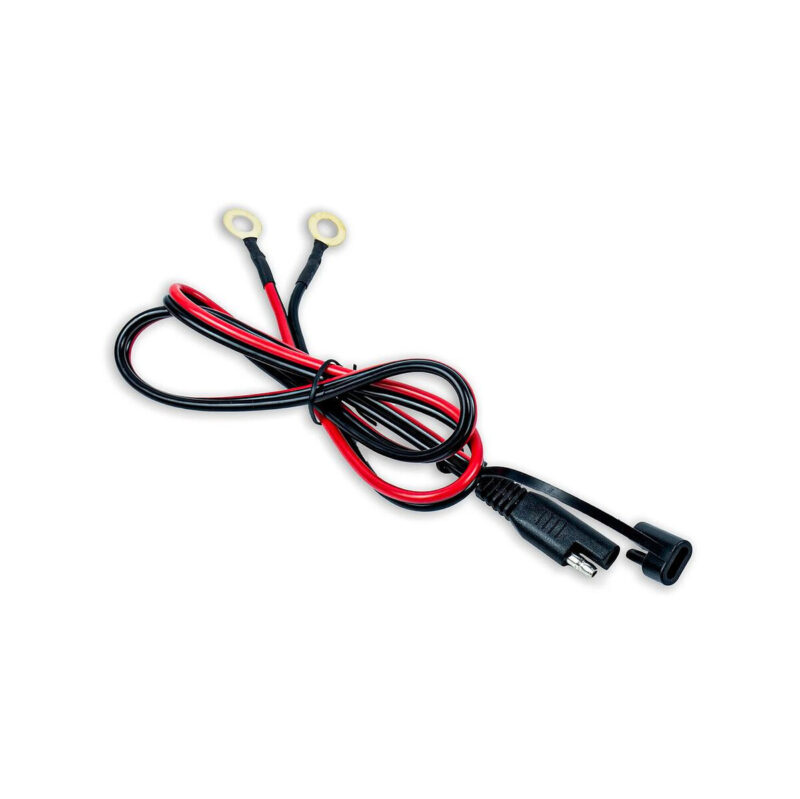 Prostownik Volt Polska do akumulatorów LiFePO4 12V 20A