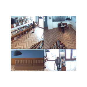 Kamera IP Reolink Fisheye FE-W Series W520 6MP 360° Wi-Fi