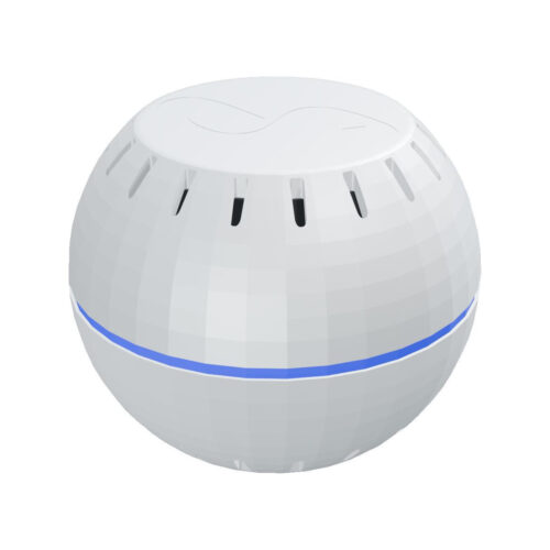 Shelly Wave H&T (2025)