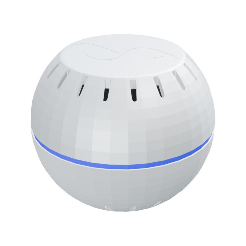 Shelly Wave H&T (2025)