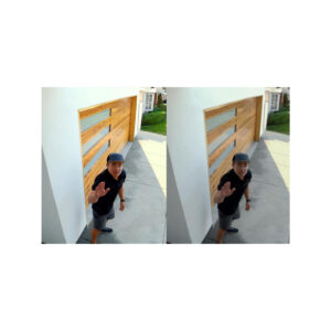 Kamera IP Reolink P324 5MP PoE