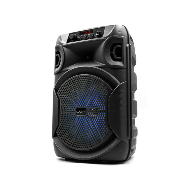 Głośnik mobilny SQUEAK SQ1006 30W Radio FM Czarny