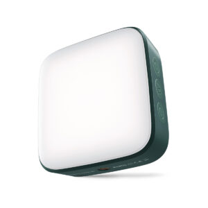 Lampa LED Newell Campina - zielona