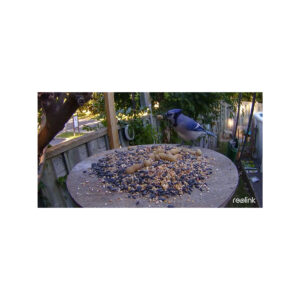 Kamera IP Reolink GO Series G330 4MP 4G LTE USB-C z akumulatorem camouflage