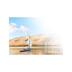 SATEL UNIWERSALNY MODUŁ MONITORUJĄCY ETHM-A