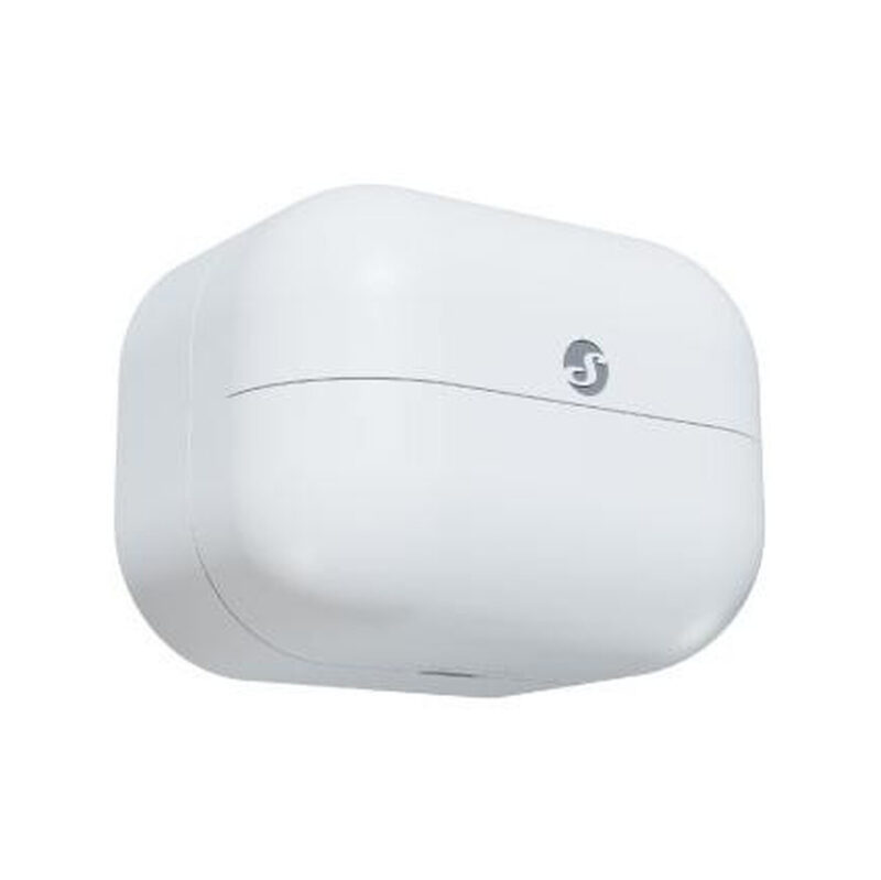 Shelly Wave Motion (2025)