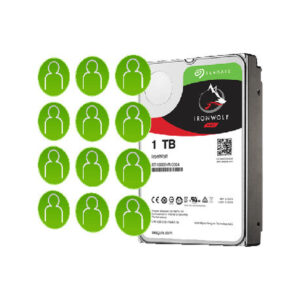 DYSK SEAGATE IronWolf ST1000VN008 1TB