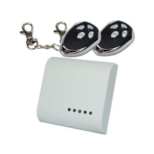 ROPAM STEROWNIK RADIOWY - ZESTAW RF-4C-2K (2 PILOTY)