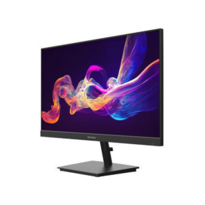 Monitor Hikvision DS-D5024F2-AP2