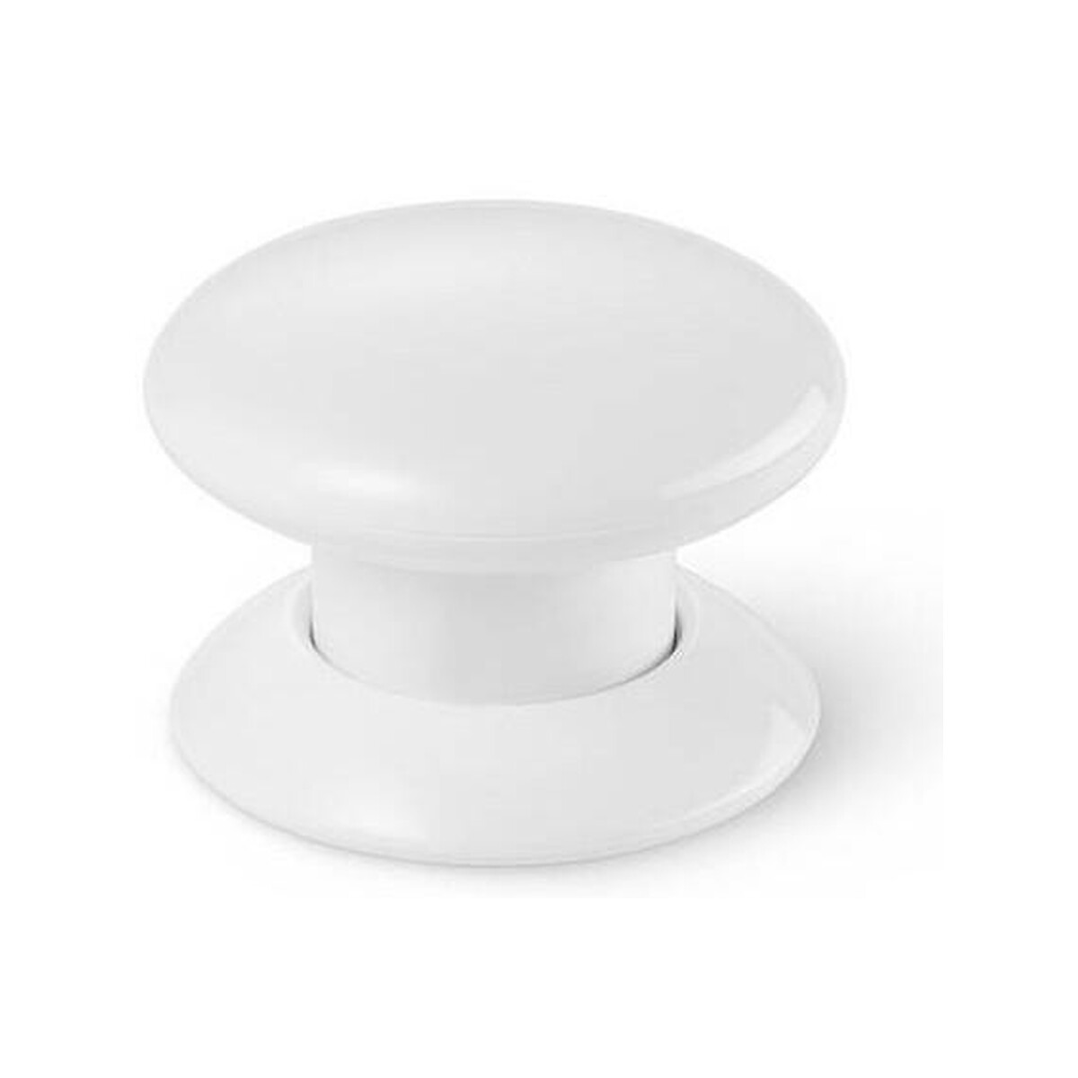 Przycisk biały NICE FGPB-101-1 ZW5 EU Push-Control WHITE