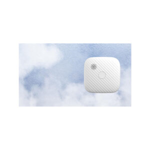 Zestaw czujników FIRESCO czujnik czadu + dymu z WiFi