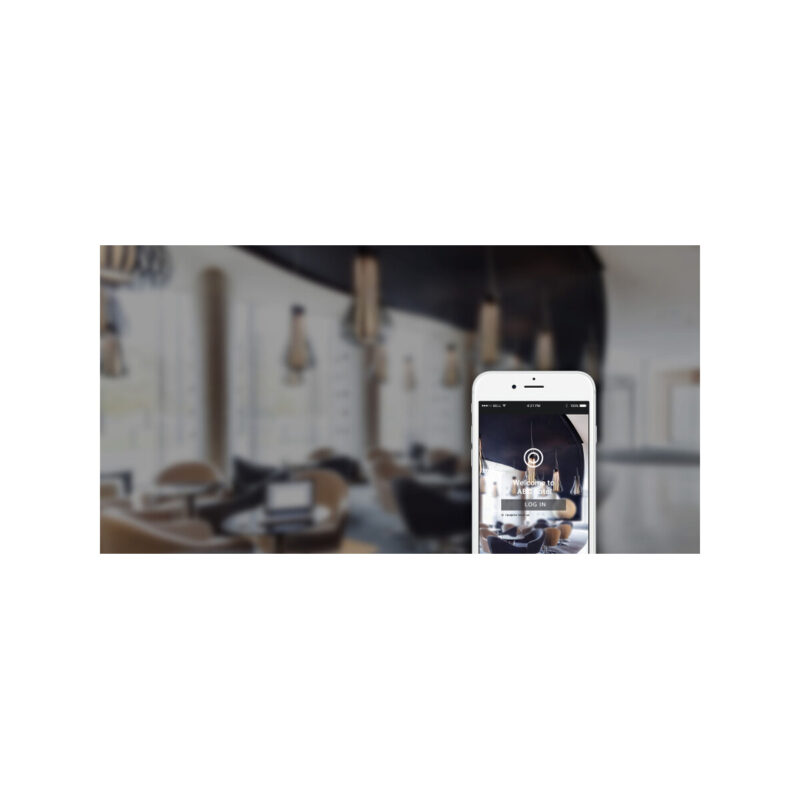 AP TP-LINK EAP115-Wall