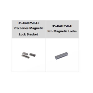 Hikvision DS-K4H250S