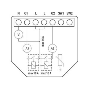 Shelly Qubino Wave 2PM