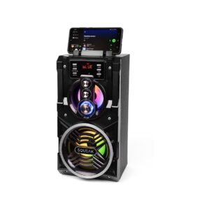 Głośnik BeatBoxer Squeak SQ1000 BT, Radio FM, MP3