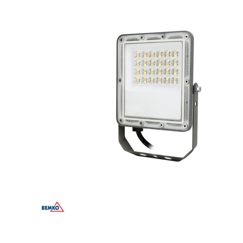 Naświetlacz LED PRAJna 30W 3000-4000-6500K IP65 sztary