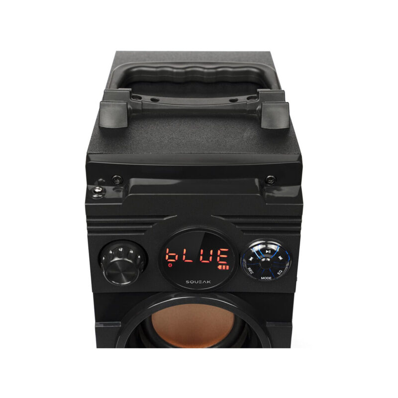Głośnik BassBlaster Squeak SQ1001 BT, Radio FM, MP3