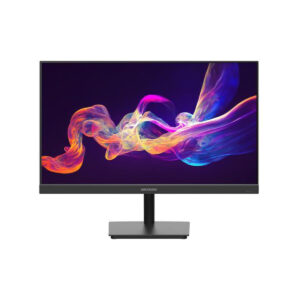 Monitor Hikvision DS-D5024F2-AP2