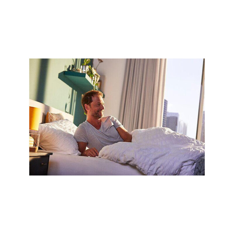 Centrala Somfy Tahoma Switch (1870594)