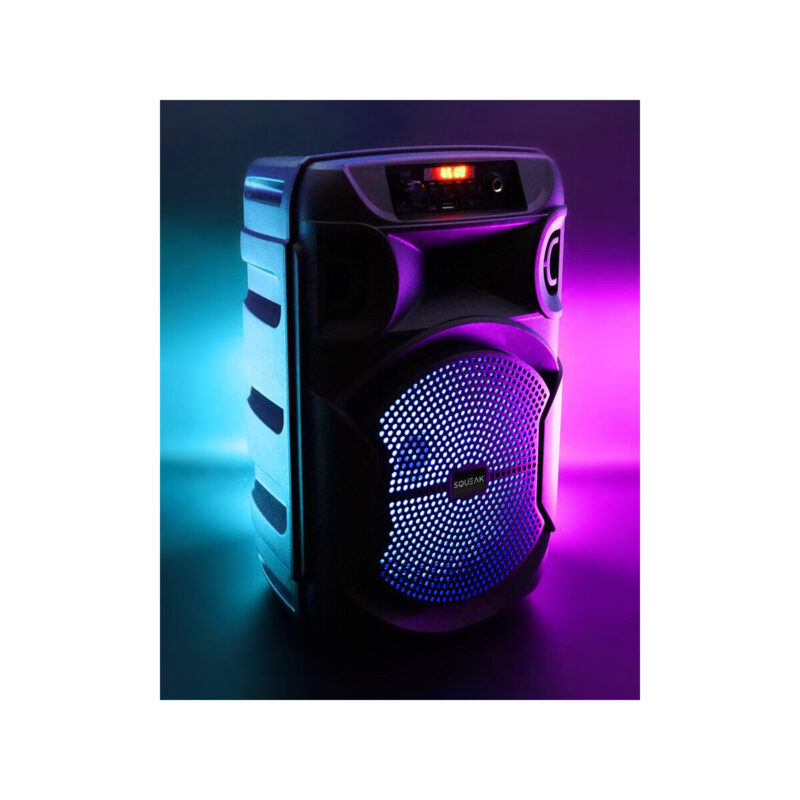 Głośnik mobilny SQUEAK SQ1006 30W Radio FM Czarny