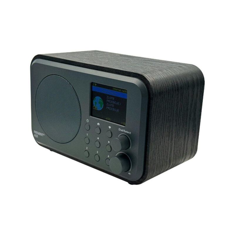 Radio internetowe Ferguson Regent i101 | DAB+ | FM RDS / Akumulator 2000 mAh (Czarne)