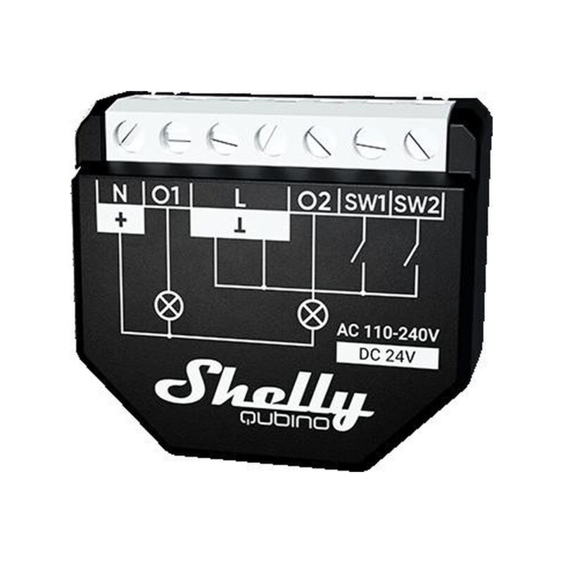 Shelly Qubino Wave 2PM