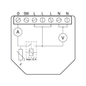 Shelly Qubino Wave 1PM