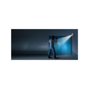 Kamera IP Reolink E Series E540 PTZ 5MP Wi-Fi LED biała