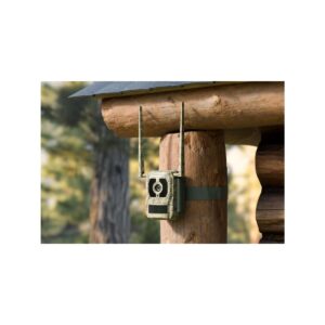 fotopuapka_reolink_camovue_8mp_lte_talon_series_t130_47a248c4ae081 Fotopułapka Reolink Camovue 8MP LTE Talon Series S130