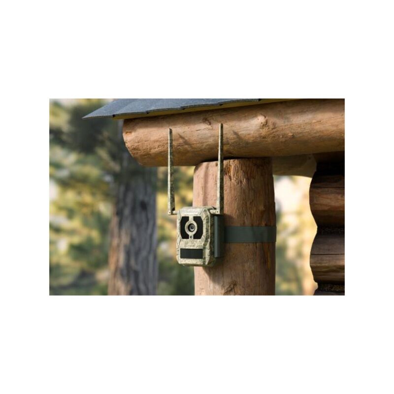 fotopuapka_reolink_camovue_8mp_lte_talon_series_t130_47a248c4ae081 Fotopułapka Reolink Camovue 8MP LTE Talon Series S130