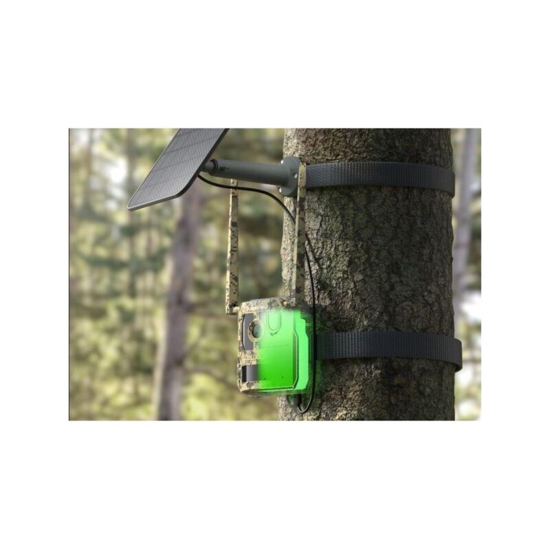 fotopuapka_reolink_camovue_8mp_lte_talon_series_t130_825ff50952747 Fotopułapka Reolink Camovue 8MP LTE Talon Series S130