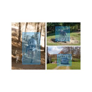 fotopuapka_reolink_camovue_8mp_lte_talon_series_t130_f88674b39cdcd Fotopułapka Reolink Camovue 8MP LTE Talon Series S130